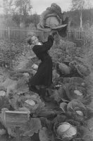 Une fille présente la récolte du jardin scolaire (1954) - Oblast de Kirov, URSS.