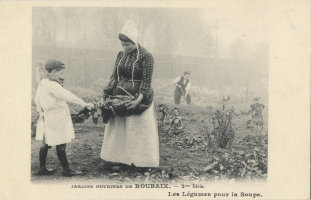 Jardins ouvriers de Roubaix - Les légumes pour la soupe